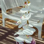 ホテル Sea Garden