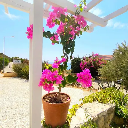 Szálloda Sea Garden 3*